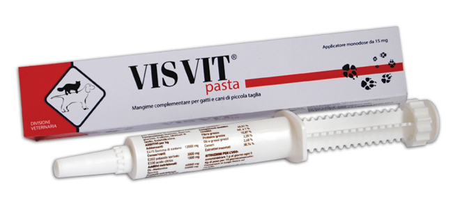 VISVIT PASTA OS SIRINGA 15 G - farmacia187.it