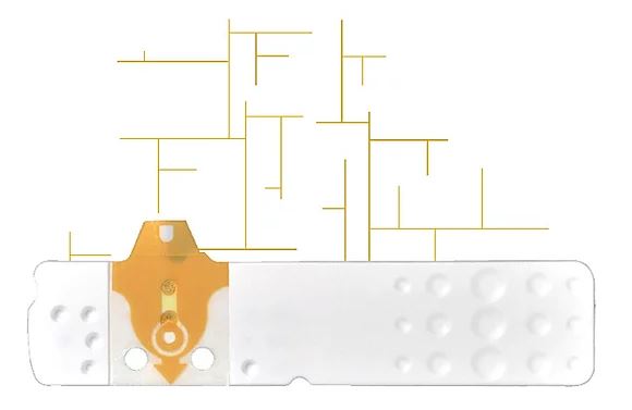 STRISCE MISURAZIONE GLICEMIA LINEA D ORO 25 PEZZI - farmacia187.it