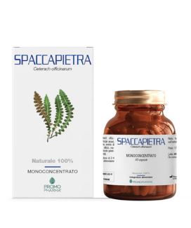 SPACCAPIETRA 50 CAPSULE - farmacia187.it