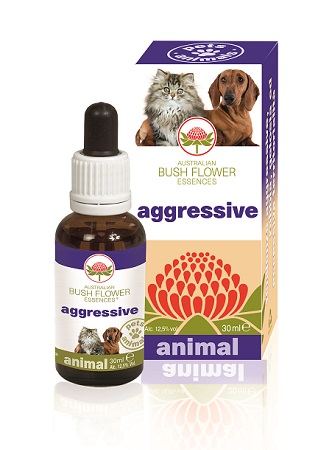 AGGRESSIVE 30 ML - farmacia187.it