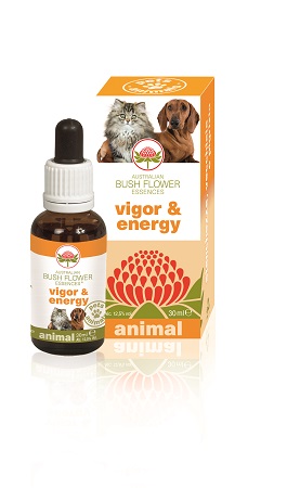 VIGOR & ENERGY 30 ML - farmacia187.it