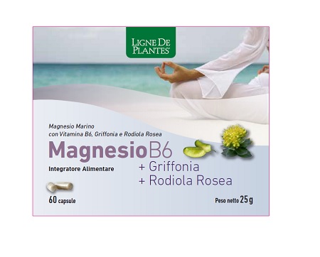 MAGNESIO B6 + GRIFFONIA + RODIOLA 60 CAPSULE - farmacia187.it