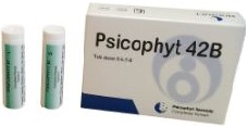 PSICOPHYT REMEDY 42B 4 TUBI 1,2G - farmacia187.it