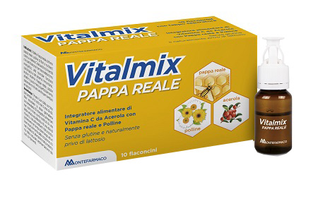 VITALMIX PAPPA REALE 10FLACONCINI X10 ML S/GL - farmacia187.it