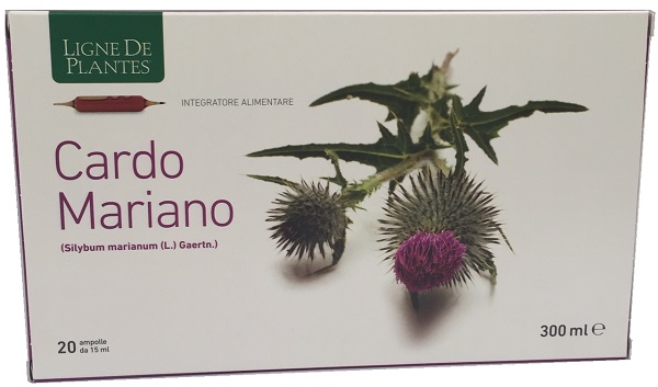 CARDO MARIANO 20 AMPOLLE BEVIBILI DA 15 ML - farmacia187.it