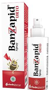 BANZAPID SPRAY TRATTAMENTO 100 ML - farmacia187.it