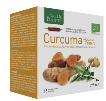 CURCUMA CICORIA ZENZERO BIO 15 AMPOLLE BEVIBILI DA 15 ML - farmacia187.it