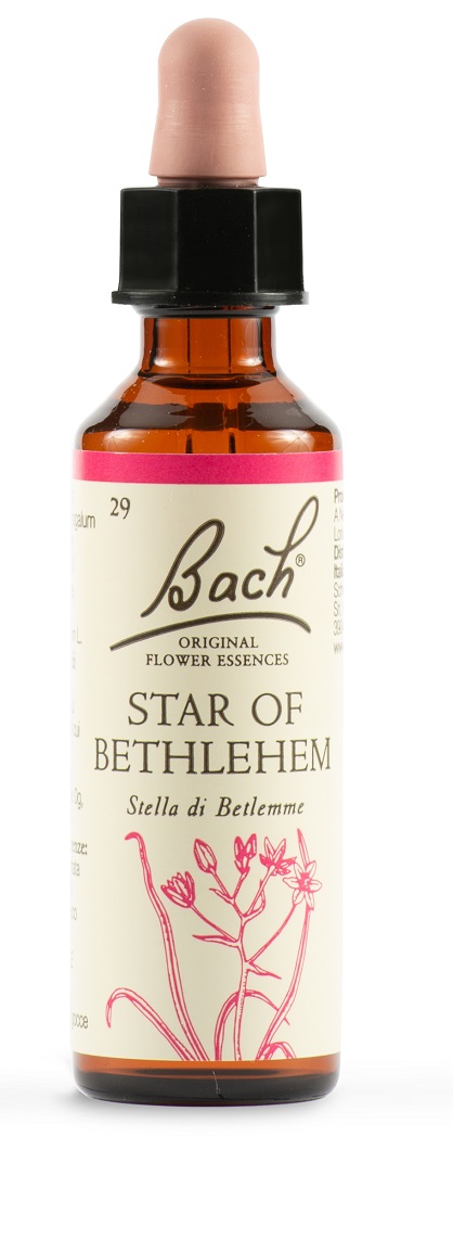 STAR OF BETHL ORIG 20 ML - farmacia187.it