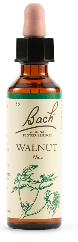 WALNUT BACH ORIG 20 ML - farmacia187.it