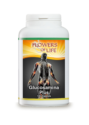 GLUCOSAMINA PLUS 100 CAPSULE FLOWERS OF LIFE - farmacia187.it