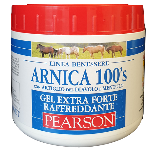 ARNICA 100'S EXTRA FORTE 500 ML - farmacia187.it