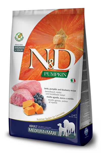 N&D GF PUMPKIN LAMB&BLUEBERRY ADULT MEDIUM/MAXI 2,5 KG - farmacia187.it