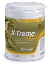 X-TREME FLAME POLVERE BARATTOLO 450 G - farmacia187.it