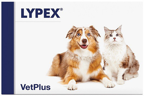 LYPEX 60 CAPSULE - farmacia187.it